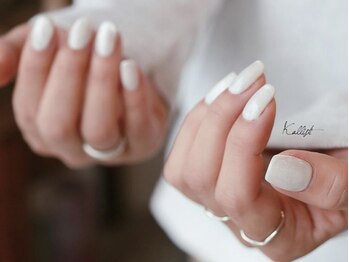 カリスティ(Kallisti)/Elaborate ワンカラー＋マグ