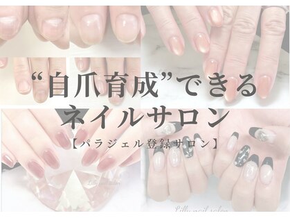 リリー(Lilly)の写真