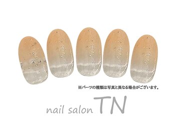 ティーエヌ イオン新潟青山店/3月季節の定額4900円コース