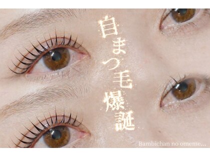 バンビちゃんのお目目 熊本店の写真