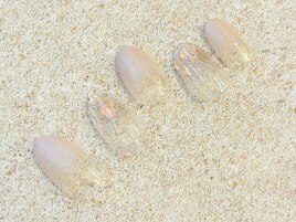 くすみピンク/清楚ネイル/上品