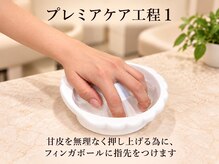 ピアシェ(Piache)/プレミアケア1 ウォーターケア付
