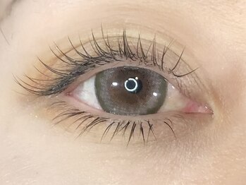 アイヨンマルゴ 神戸三宮店(EYE405)/ブラウンフラットラッシュ