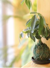 ウルル(uluru) 新井 巧