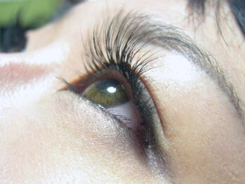 ビューティーサロン ココナニ(beautysalon COCONANI)/まつエクデザイン