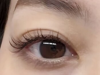 カルム 妙蓮寺(CALME)の写真/エクステご利用の方へ嬉しい特典◎今だけアイシャンプー（通常￥1,000）無料！！