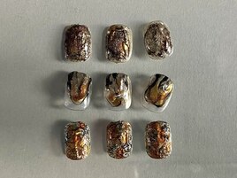 【定額】100 Design/8800yen