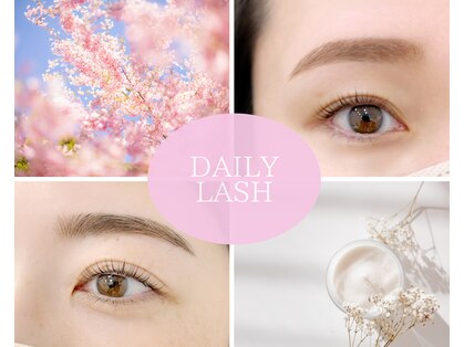 デイリー ラッシュ(DAILY LASH)の写真
