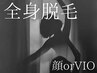 【何度でもこの価格】ladies  全身脱毛(顔or VIO)  ¥13000