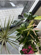 ブレス(Breath)/店内写真