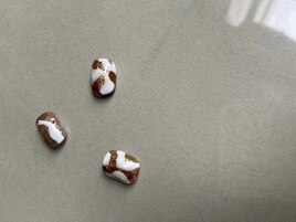 【定額】100 Design/8800yen