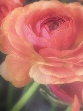 ゴクラク&nbsp;アヤ さん