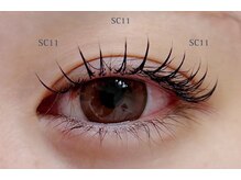 カクテル(COCKTAIL)/フラットラッシュ100本