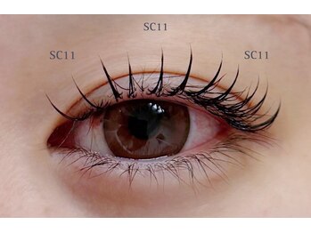 カクテル(COCKTAIL)/フラットラッシュ100本