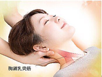 リフレッシュボディガーデン イオンモール津田沼店/スマホ・PCでツラい首に