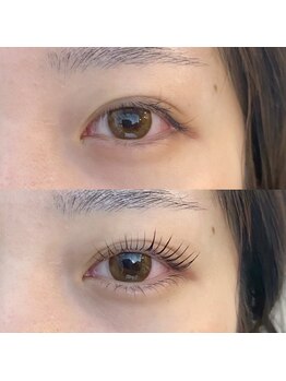 フランセス(Frances)/ラッシュリフト