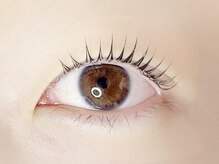 リノ カヒリ アイラッシュ(Lino kahili)/ラッシュリフト