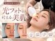 シロ(shiro)の写真