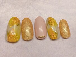 3月4月定額Design &nbsp;ミモザ