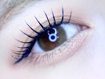 ヴィーヴ アイラッシュ(vive eyelash)/フラット140本　束感仕上げ♪
