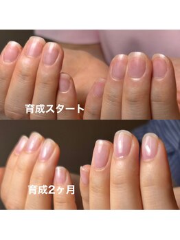 スティラ(Stila)/