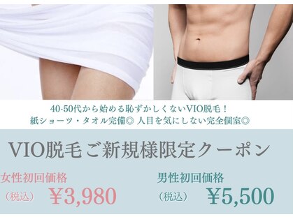 ステラ(STELLA)の写真