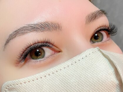 トラ(TORA)の写真