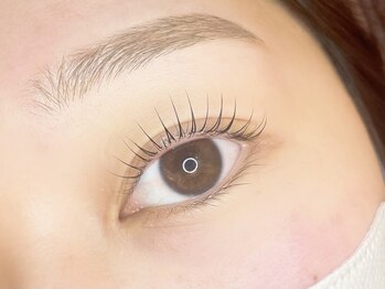 ルクール 亀貝店(Le Coeur)/ラッシュリフト×アイブロウWAX