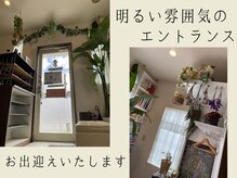 柏接骨院 ボディアクティベーションスタジオ(Body Activation Studio)の雰囲気（外からの光と植物のぬくもりで、ほっと落ち着ける空間です）