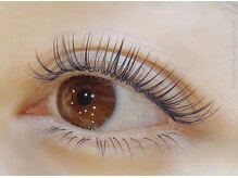 キャリコ(Calico)/【カラーエクステ】画像ネイビー