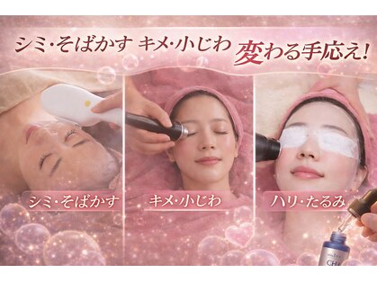 トム トムの写真