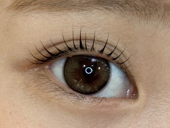 シェリーガーデン/ケラチンラッシュリフト