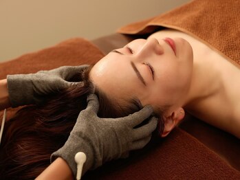 整顔整頭/電流マッサージ