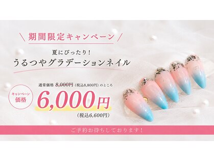 ビューティー立花コレクションの写真