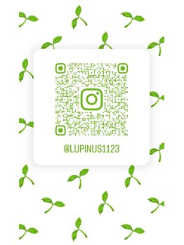 ルピナス(Lupinus)/Instagram