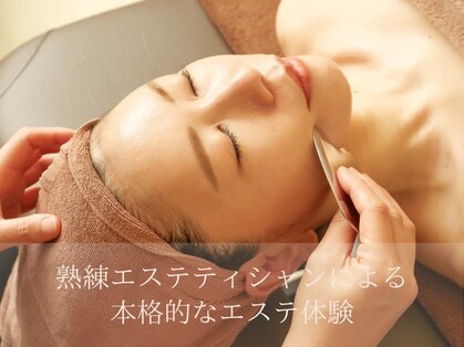 ロータス(LOTUS)の写真