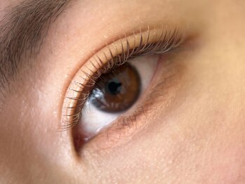 ヘアアンドアイラッシュ テクテク(teku teku)/ボリューム　ボリュームラッシュ