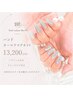 トレンド【ハンド】オーロラマグネットネイル10本(クイックケア付き)13200