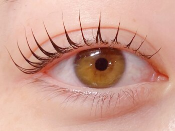 アングゥ ギャラリー(ungu GALLERY)/韓国風束間まつげパーマ