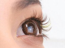 パティオアイラッシュ(Patio eyelash)/カラー選び放題 上下