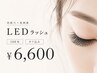 【LEDラッシュ】100本オフ込¥6600