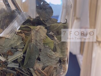 セブンフォリオ(7FORIO)/ドライハーブの優しい香り