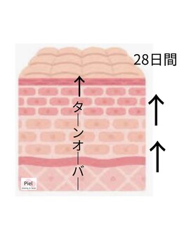 ピエル(Piel)/定期的なケアがおすすめ