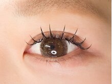 サレヤ(Sareya)/フラットラッシュ120本