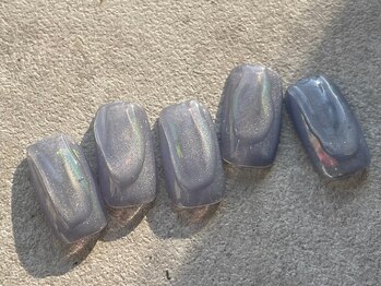 プレジール(Plaisir)/2025.7.定額A