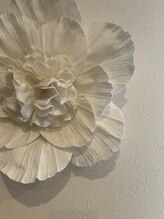 エストシード(est.seed)&nbsp;油小路 彩