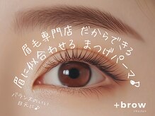 プラスブロウ 亀有店(+brow)の雰囲気（眉毛のプロが提案する、眉毛に似合うまつげパーマが垢抜け可愛い）