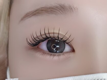 ゼシール(Ze seal)の写真