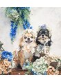 ファーガン アルカキット錦糸町店(fagun)&nbsp;我が家の愛犬です！毎日癒しをくれます(^_-)-☆