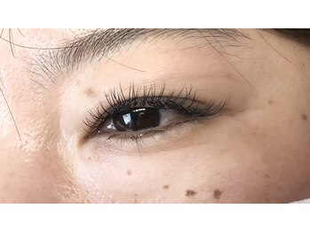 シスタス(Cistus)/高持続フラットラッシュ